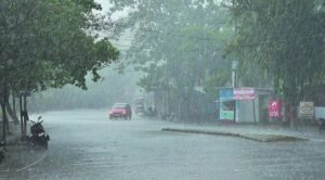 barish.jpg