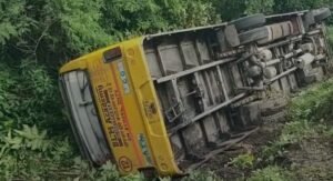 bus.jpg