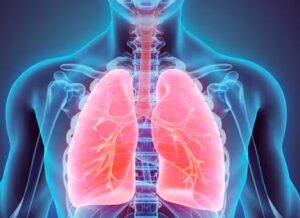 lungs-.jpg