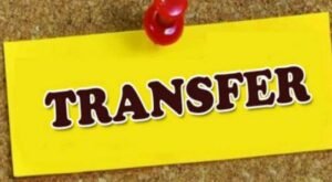 transfer.jpg