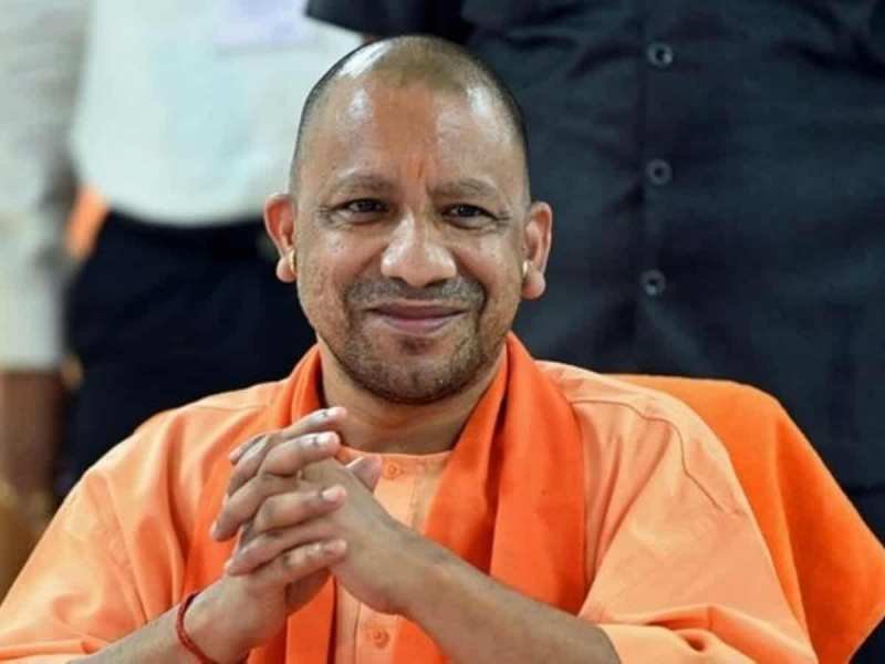 yogi.jpg
