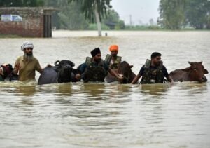 punjab.jpg